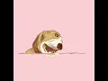 Borrow or Rob GIF