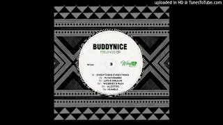 buddynice everything everything redemial dub 