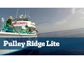Gulf Snapper Grouper Slayfest 1 of 2 - Florida Sport Fishing TV