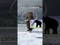 Download Lagu Extinct Animals That Scientists Want To Bring Back To Life