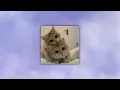 Download Lagu stuck with you - ariana grande, justin bieber (sped up)
