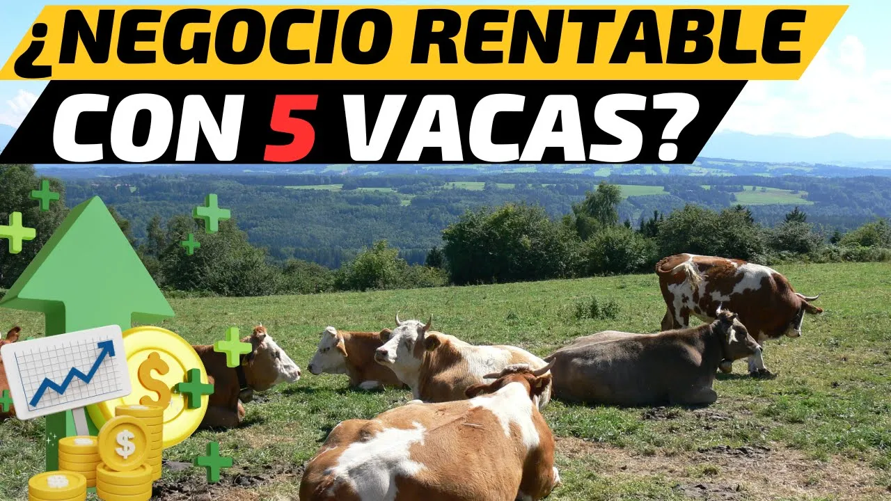 🐄💰 ¿Cuánto Gana un Ganadero con Solo 5 Vacas Lecheras? Análisis Realista 🥛📊