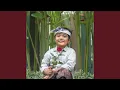 Download Lagu Bunga Mawar