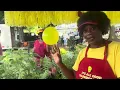 Behind the scene footage at the Prattville Farmer s Market