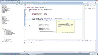 How to Write an If Statement in Java Boolean Variables TRUE FALSE
