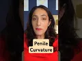 Penile curvature should you be concerned