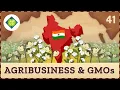 Agribusiness GMOs and their Role in Development Crash Course Geography