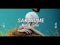 Download Lagu King Gnu - Sakayume // 逆夢 【 Romaji Lyrics 】