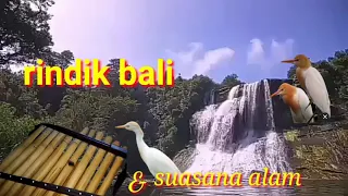 Download RINDIK BALI MERDU DAN SUARA BURUNG MP3