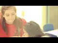 What s included in my YMCA membership