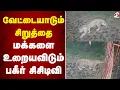 Download Lagu Leopard | CCTV | Hunting leopard - Bagheer freezes people CCTV | Sathiyam Tv