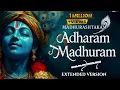 Lagu Adharam Madhuram Lofi - Krishna Bhajan | Bhajan Song | Krishna Bhajan #krishnabhajan #krishna #love