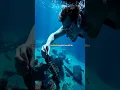 Download Lagu Did You Know: Titanic Fun Facts with water