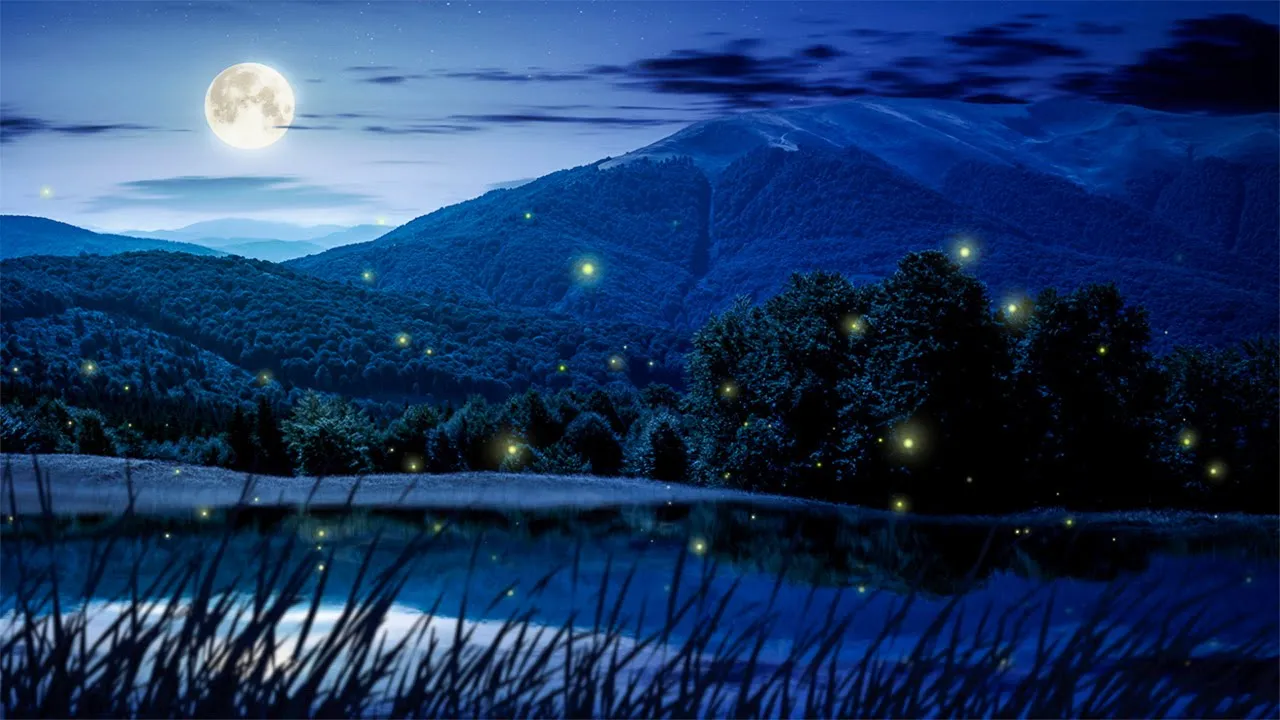 Relaxing Sleep Music and Night Nature Sounds: Soft Crickets, Relaxing Piano, Deep Sleep Music Relaxing Sleep Music and Night Nature Sounds: Soft Crickets, Relaxing Piano, Deep Sleep Music