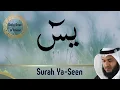Heart \u0026 Soul Touching Surah YaSeen Recitation | سورة يسٓ | Use Brave browser to avoid ads