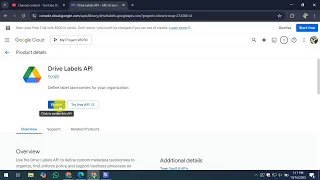 How To Use the Google Drive API