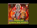 Download Lagu Peddha Puli (DJ Remix Song Version 7)