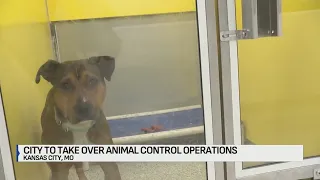 KC Pet Project to transfer animal control duties to city of Kansas City