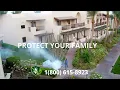 Top 3 Bed Bug Removal in Ann Arbor