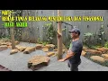 Lagu PART 2. REHAB TAMAN BELAKANG MENJADI LEGA DAN FUNGSIONAL - HASIL AKHIR