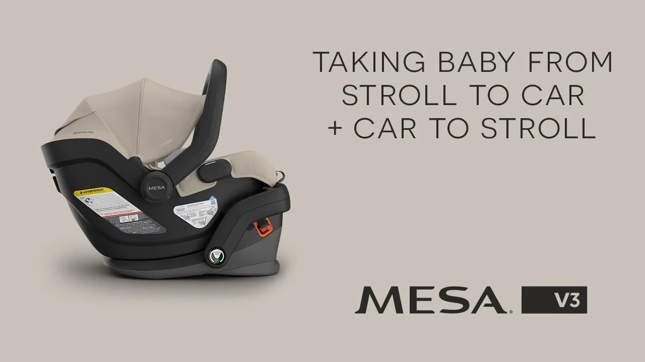 UPPAbaby Mesa V3 Infant Car Seat - James