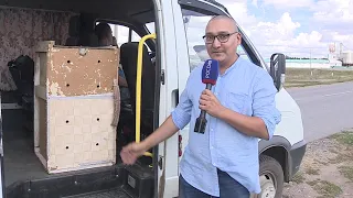 Журавля, которого высидела курица, перевезли в зоопарк Омска