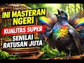 Lagu INI BARU Masteran Burung Paling Bagus ‼️ Cukup Beberapa Menit Langsung Nyaut !!