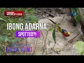 Lagu Ibong Adarna, natagpuan sa isla ng Antique!? | Dami Mong Alam, Kuya Kim!