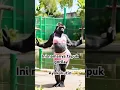Lagu Thats a gorrila dance 💃