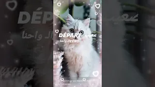 مشفهوش هذي مشفهوش 