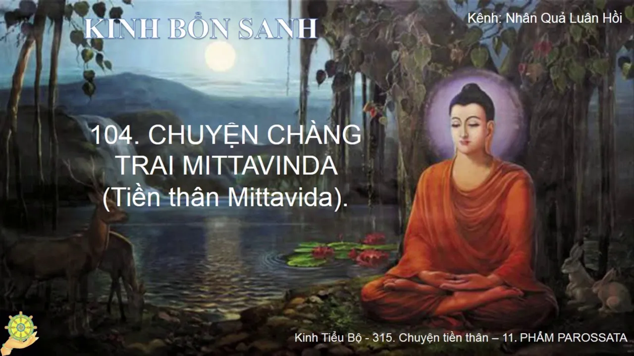 104 Truyện CHÀNG TRAI MITTAVIDA Tiền thân Mittavinda K.Bổn Sanh, Bổn Sự 