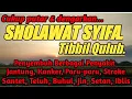 Download Lagu SHOLAWAT TIBBIL QULUB (SYIFA) SHOLAWAT PENYEMBUH BERBAGAI PENYAKIT