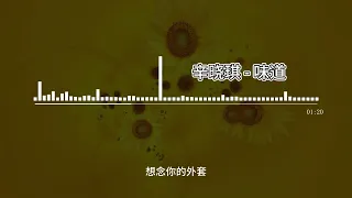 辛晓琪 味道 高音质无损音乐 动态歌词 