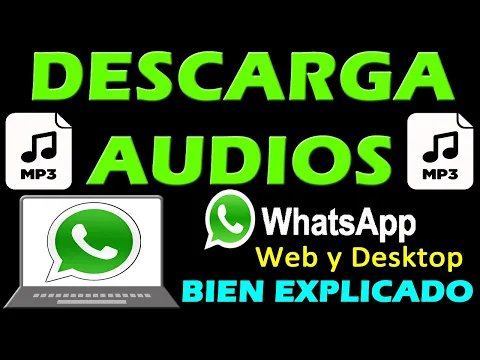 Download MP3 SO LADEN SIE AUDIOS VON WHATSAPP AUF DEN PC HERUNTER. MP3 🚀 Web und Desktop (TRICK) ✅