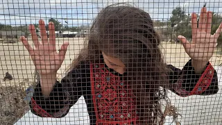 أرضي هما احتلوها ستبقى القدس 