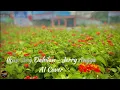 Lagu Ikaw Ang Dahilan Jerry Angga (AI Cover)