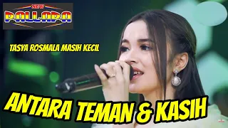 antara teman dan kasih cipt h rhoma irama tasya rosmala new pallapa