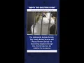 Empty the Shelters Local pet shelters drop adoption prices for 15-day holiday event