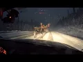 Alaska Highway, 3 AM — Giant moose standing in the middle of the road. Just staring. [Dashcam POV]