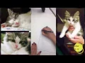 Drawing a Free Christmas Kitty Coloring Page