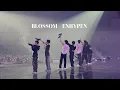 Download Lagu BLOSSOM - ENHYPEN (FMV)