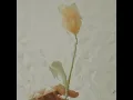 Mystical Luck