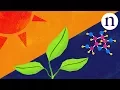 Learning from leaves Going green with artificial photosynthesis