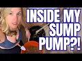 Why A Sump Pump And Easy Hack If Your Floater Switch Isn t Turning On