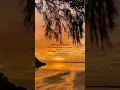 Download Lagu #love #lovefacts #sunset #motivation #trust