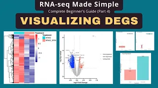 RNA-seq Data Visualization Tutorial Volcano Plot Heatmap PCA with ggplot2