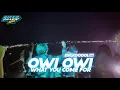 Lagu Engkol! | DJ OWI OWI x WHAT YOU COME Viral FYP Tiktok (Ricko Pillow Remix)