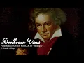 Download Lagu Beethoven Virus but it's INSANE