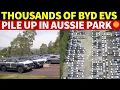 Lagu Thousands of BYD EVs Pile Up in Australian Theme Park Like a Car Graveyard—Australia Strikes Back