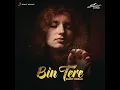 Bin Tere (Lofi Flip) - Silent Ocean, Shafqat Amanat Ali, Sunidhi Chauhan & Vishal & Shekhar